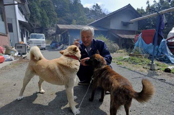 Just One Man Remains in Fukushima Radiation Zone - He's Feeding All the Animals Left Behind - The Good News Network